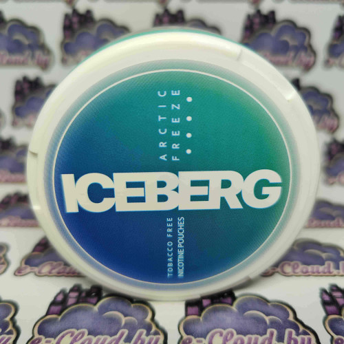 Жевательная смесь Iceberg - Морозная мята - 20мг/г. купить в Минске