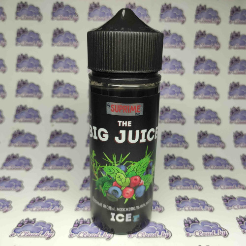 Big Juice – Лесные ягоды, можжевельник, мята 120мл. - 3мг/мл. купить